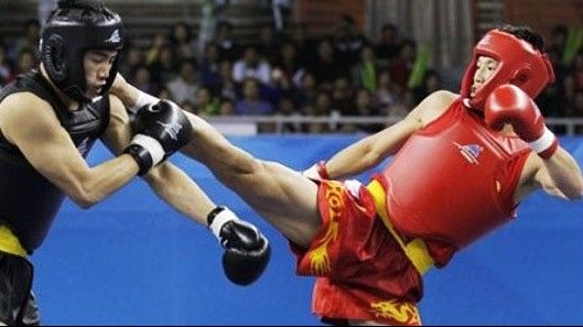 Wushu Nedir?